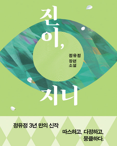 진이, 지니 책 표지