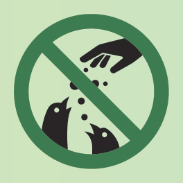 야생동물 먹이 금지