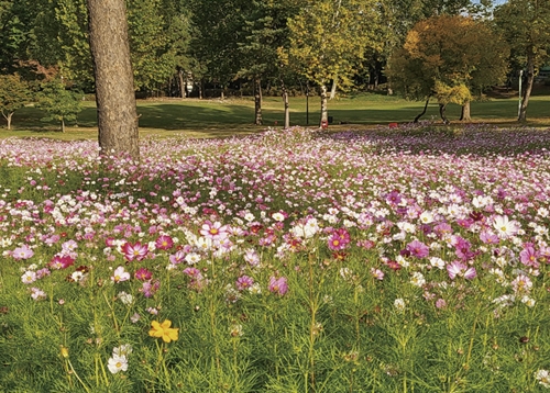 우리 동네 가을 풍경