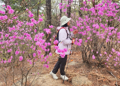 광진에서 봄을 찾아요!