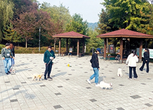 반려견 산책교육, 내년에도 함께할 개~!