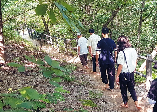 어느 성북구민의 흔한 일상, 이성북님의 알찬 하루