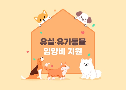 성북구 유실·유기동물 입양비 지원
