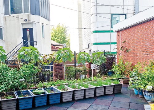 다른그림찾기 & 독자퀴즈