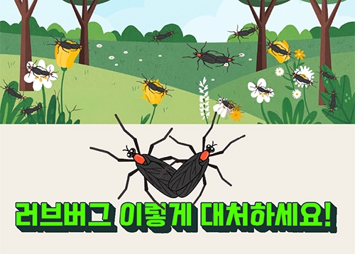 [알림] 러브버그 이렇게 대처하세요!