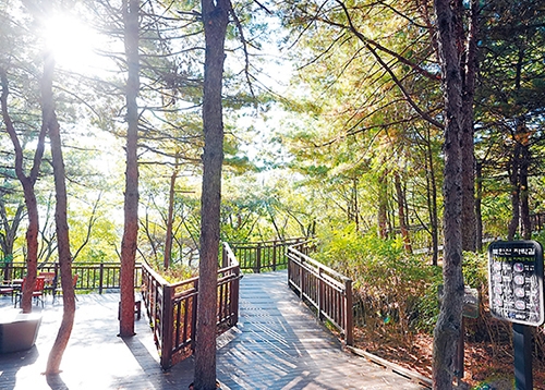 성북의 가을을 잇는 세 개의 산책길