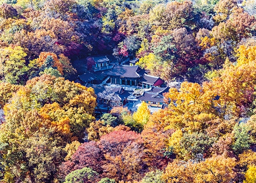 2026 성북구 사진 공모전 수상작