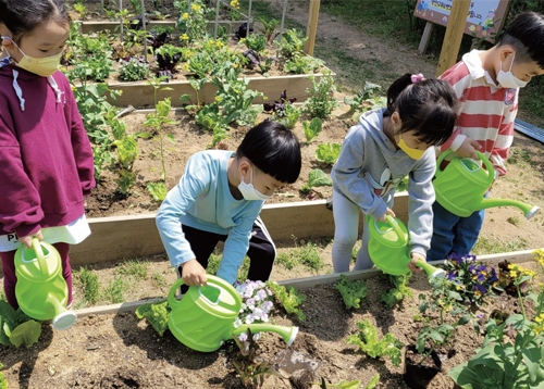 [반려문화] 반려식물을 키우고 가꾸며 행복지수를 높여요