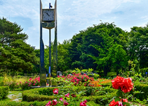장미정원과 도시텃밭이 함께 하는 신트리공원