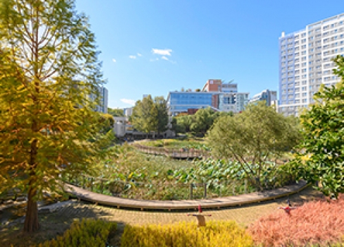 연의공원으로의 초대