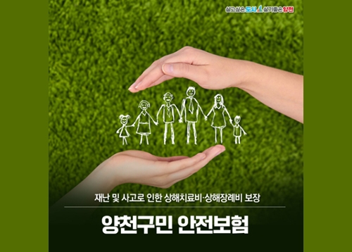 구민안전보험·자전거보험 무료 가입