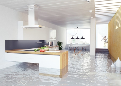 풍수해보험 무료가입 신청