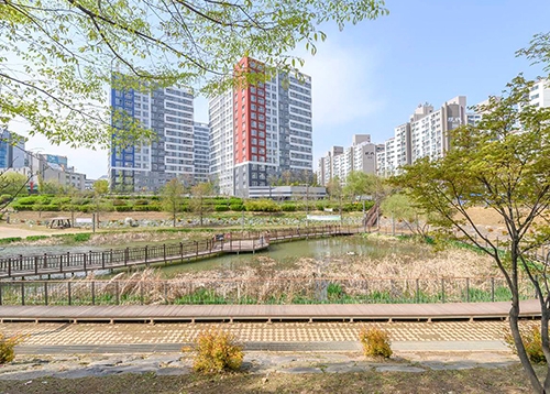 봄맞이 연의 생태공원