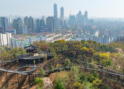 숲속카페·스카이워크 품은 용왕산, 명품공원으로 재탄생