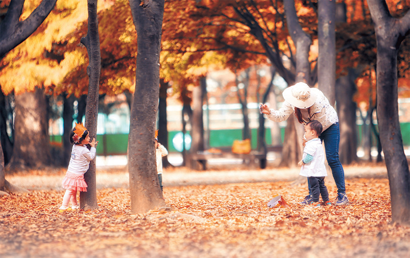 나무들 사이 낙엽 위에서 가을을 즐기는 엄마와 아이들