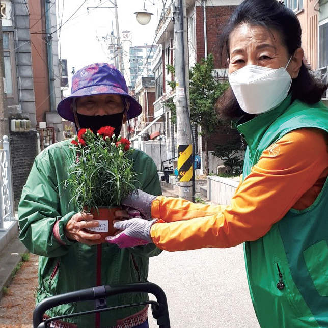 마천1동 르신 품에 카네이션 화분 안겨드려요! 나눔 릴레이