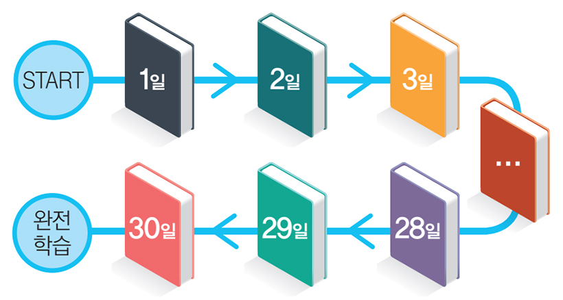 START → 1일 → 2일 → 3일 → … → 28일 → 29일 → 30일 → 완전학습