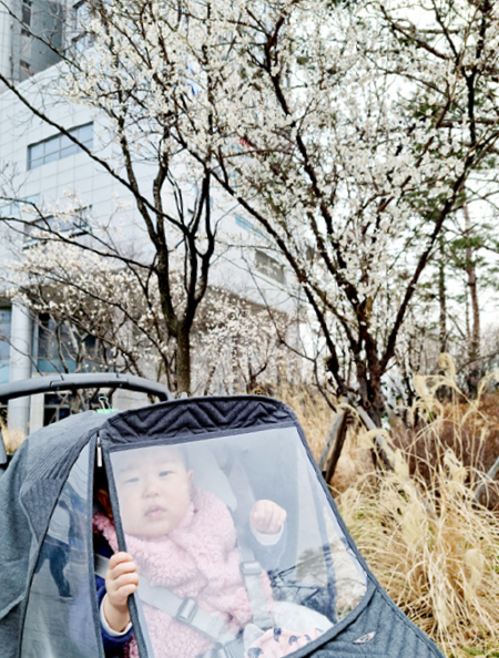 내가 만난 첫 봄날