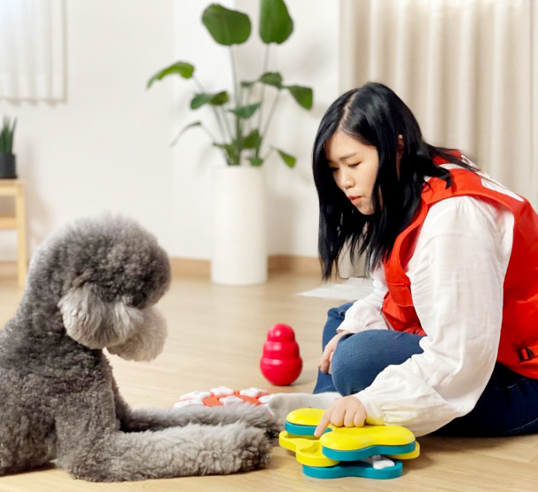 반려견 돌봄 전문가