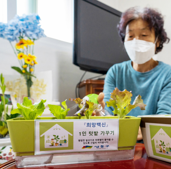 1인 텃밭 가꾸기 키트를 받은 주민