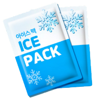 아이스팩