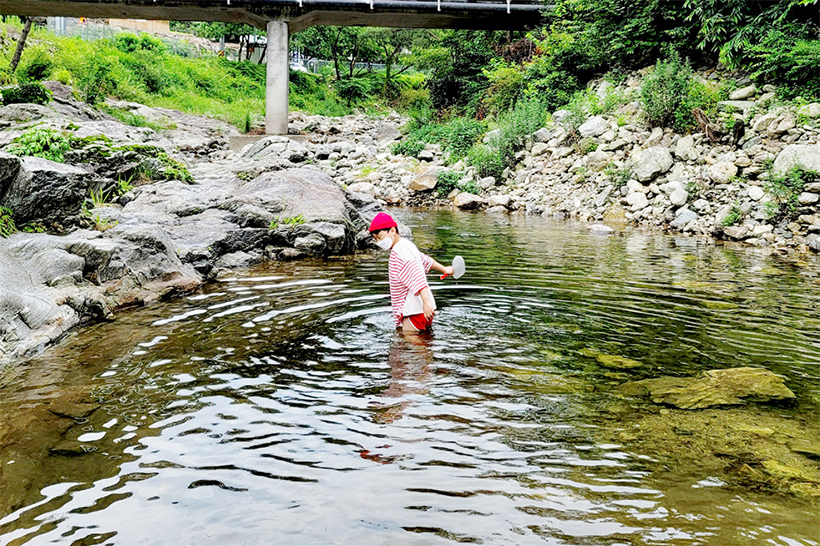 계곡에서 손잡이 달린 채망으로 물고기 잡기