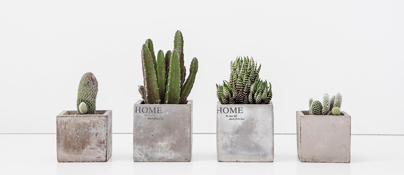 화분 업사이클링