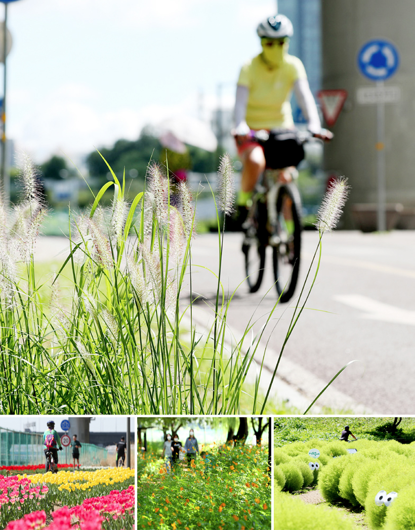 용비교~응봉체육공원 구간 산책로 풍경