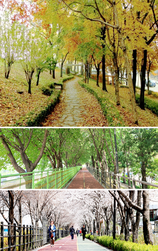 성동교~군자교 송정제방길 풍경