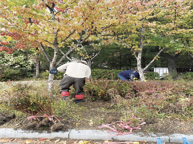 금호2·3가동 힐링화단 조성