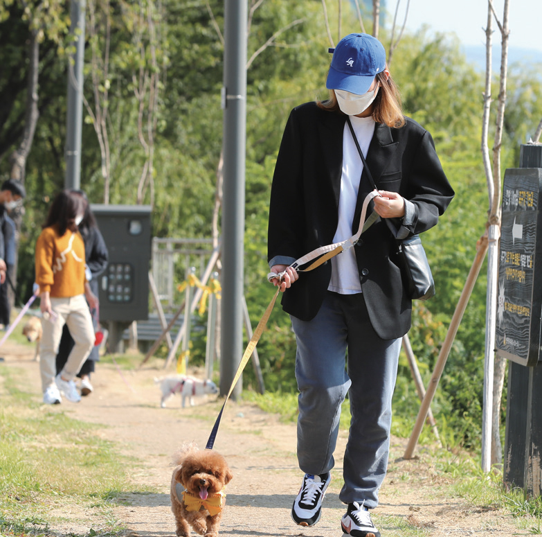 반려동물 산책