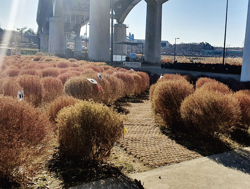 중랑천변 산책길 풍경