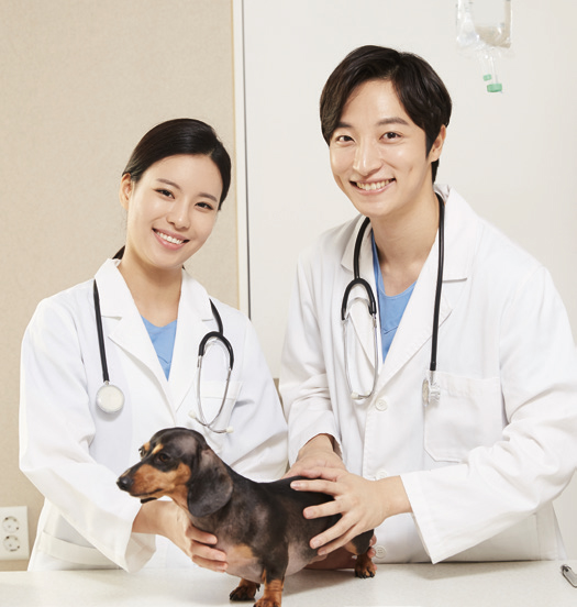 취약계층 반려동물 의료 지원