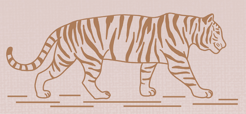 호랑이 일러스트