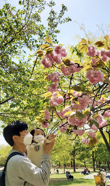 이상훈 님 사진