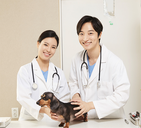 우리동네 동물병원