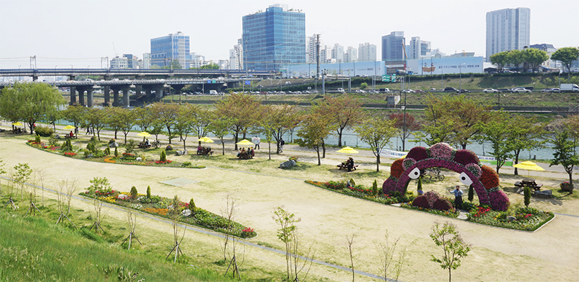 중랑천 응봉지구 피크닉장