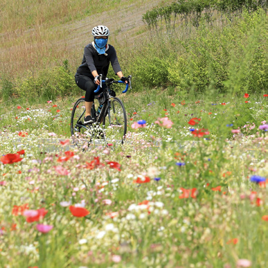 중랑천 응봉교 꽃길