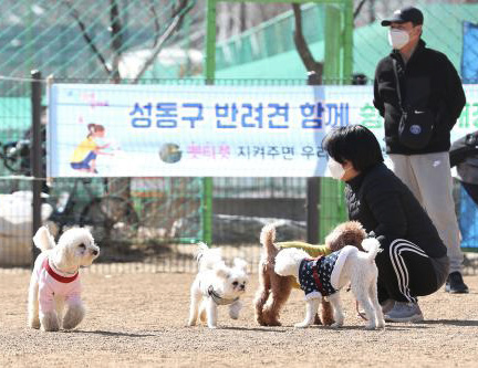 반려견 함께 쉼터