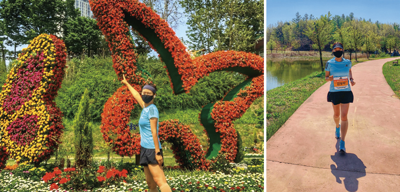 김보하 님 사진