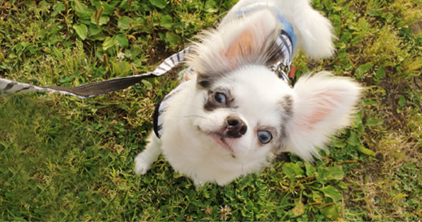 고은별 님 사진