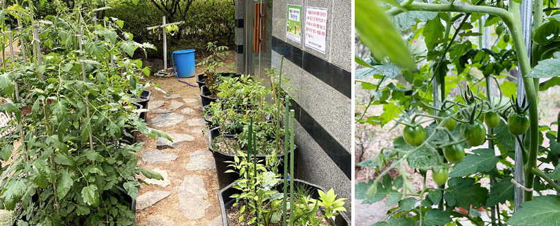 황시온 님 사진