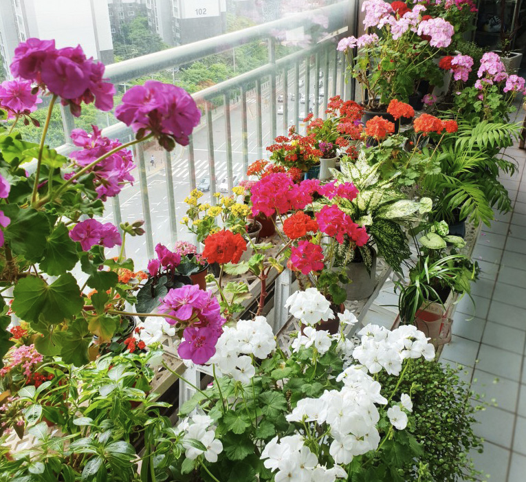 이신애 님 사진