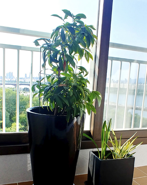 남정남 님 사진