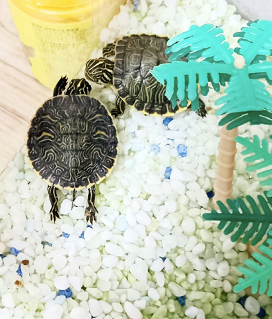 박은하 님 사진