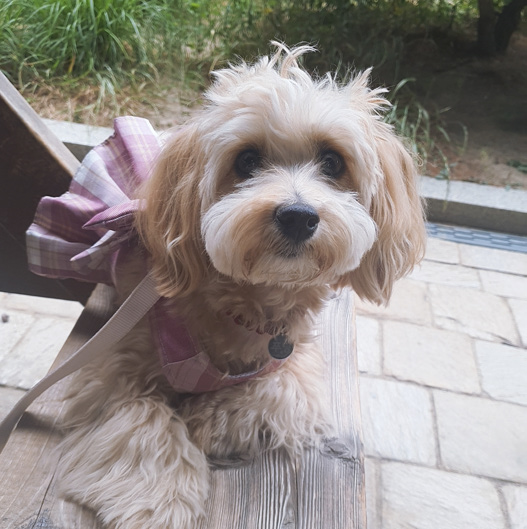 도은진 님 사진