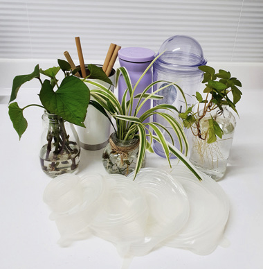 박문숙 님 사진