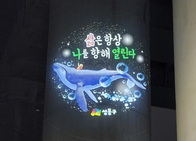 용비교 감성빛글씨