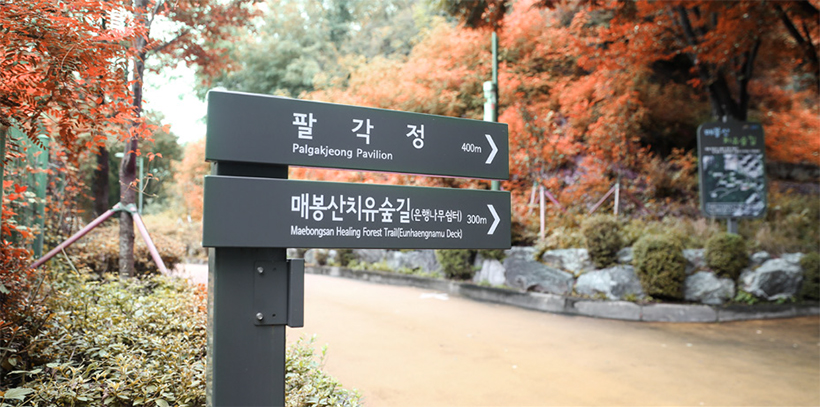 매봉산