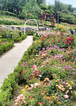 정나린 님 사진